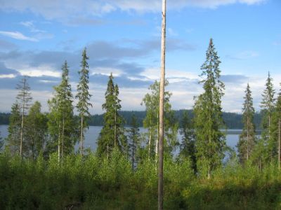 Земля озеро Раутярви, Финляндия - фото 1