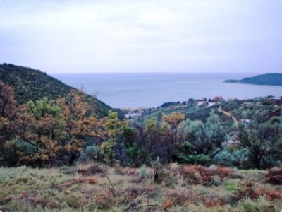 Земля Будванская ривьера, Черногория - фото 1