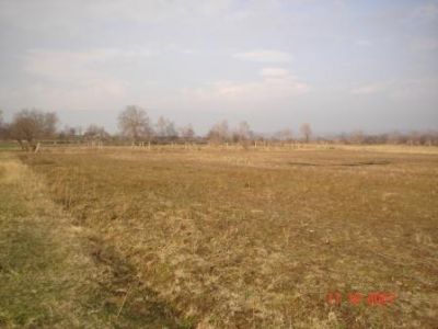 Земля Арагацотнская область, с. Ошакан, Армения, 2 700 м² - фото 1