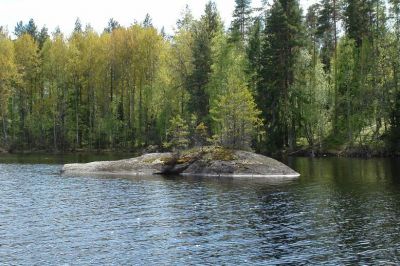 Земля полуостров на озере Куванси (Восточная Финляндия), Финляндия - фото 1