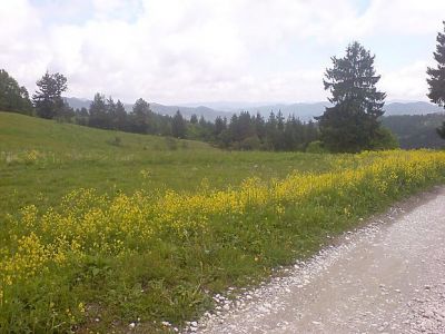 Земля в Пампорово, Болгария - фото 1