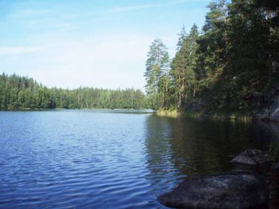 Земля в Савонлинне, Финляндия, 120 000 м² - фото 4