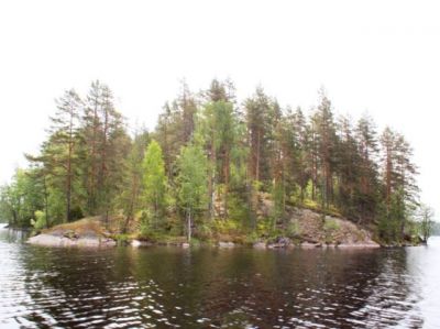 Земля в Энонкоски, Финляндия, 281 600 м² - фото 1