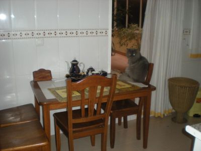 Квартира в Аликанте, Испания, 127 м² - фото 7