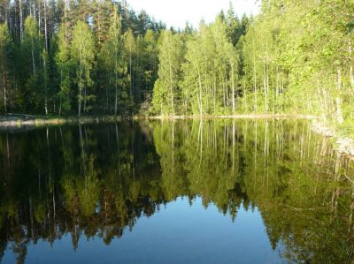 Земля в Пункахарью, Финляндия, 5 500 м² - фото 1