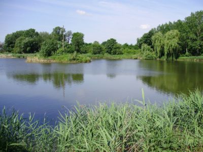 Дом в Бургасе, Болгария, 1 500 м² - фото 1