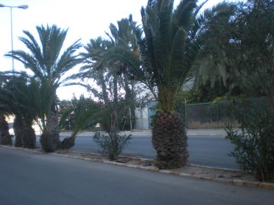 Квартира в Торревьехе, Испания, 95 м² - фото 8