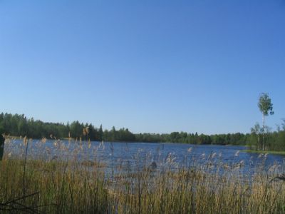 Земля в Краславском крае, Латвия, 32 000 м2 - фото 1
