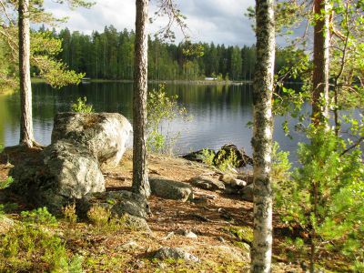 Земля в Савонранта, Финляндия - фото 1