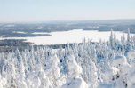 Земля в Куусамо, Финляндия, 1 453 м2 - фото 1