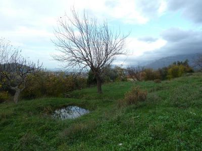 Земля в Баре, Черногория - фото 1
