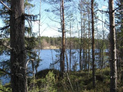 Земля в Ювяскюля, Финляндия - фото 1