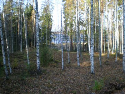 Земля в Хамине, Финляндия, 9 650 м2 - фото 1