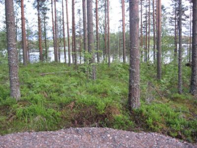 Земля в Руоколахти, Финляндия, 4 000 м2 - фото 1