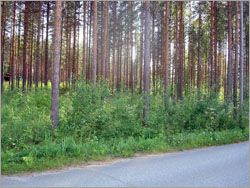 Земля в Пункахарью, Финляндия, 2 200 м2 - фото 1