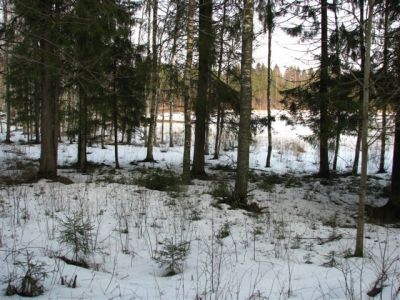 Земля в Кухмоинен, Финляндия, 7 500 м2 - фото 1