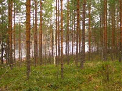 Земля в Иматре, Финляндия, 3 900 м2 - фото 1