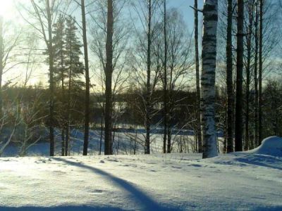 Земля в Коуволе, Финляндия - фото 1