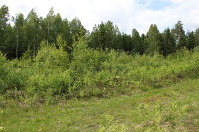 Земля в Руоколахти, Финляндия, 3 000 м² - фото 1