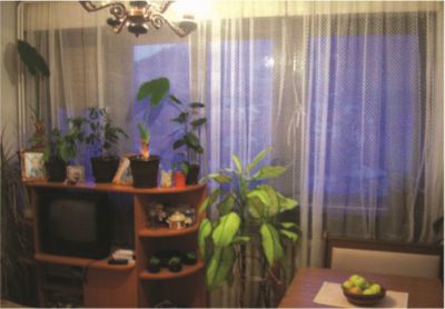 Квартира Златар, Сербия, 79 м² - фото 3