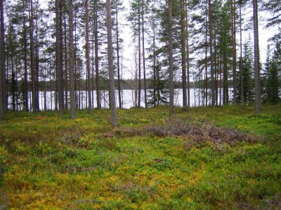 Земля в Куусамо, Финляндия, 3 600 м² - фото 1