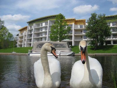 Квартира в Елгавском крае, Латвия, 54 м² - фото 1