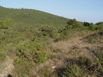 Земля в Сен-Тропе, Франция, 20 м² - фото 3