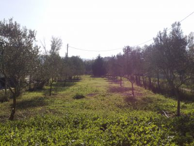 Дом на Халкидиках, Греция, 70 м² - фото 10