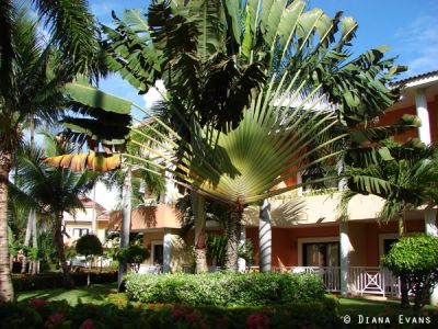 Отель, гостиница в Пуэрто-Плата, Доминиканская Республика, 60 000 м2 - фото 1