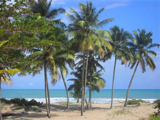 Особняк в Кабарете, Доминиканская Республика, 350 м² - фото 8