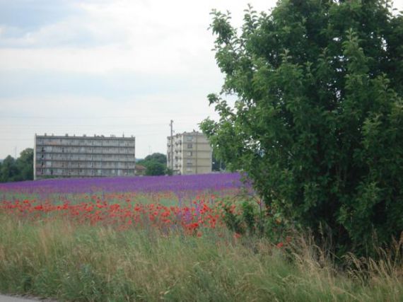 Квартира в Варне, Болгария, 46 м² - фото 1