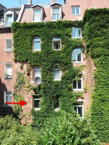 Квартира в Нюрнберге, Германия, 24 м² - фото 3