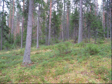 Земля в Суоменниеми, Финляндия, 0.3 Га - фото 1