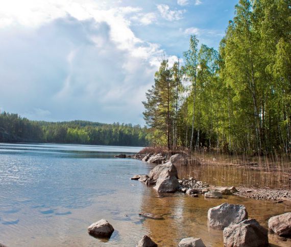 Земля в Пункахарью, Финляндия, 6 000 м² - фото 1