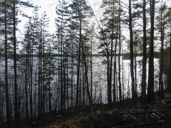 Земля в Китее, Финляндия, 780 м2 - фото 1