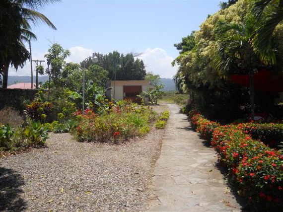 Отель, гостиница в Кабарете, Доминиканская Республика, 5 626 м² - фото 9