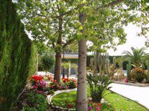 Вилла в Аликанте, Испания, 310 м² - фото 3