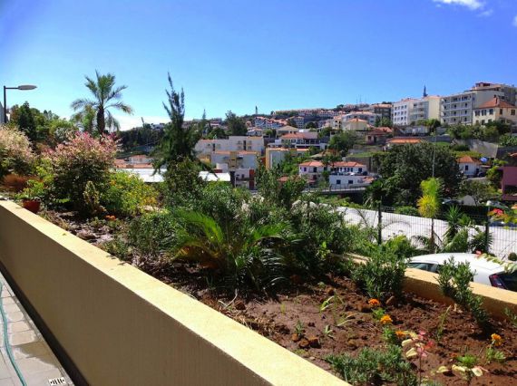 Апартаменты на Мадейре, Португалия, 220 м2 - фото 1
