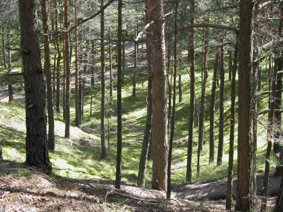 Земля в Рижском крае, Латвия, 1 262 м2 - фото 1