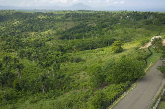 Земля в Сосуа, Доминиканская Республика, 3 130 м² - фото 10