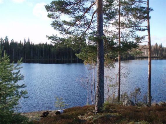 Земля в Савонлинне, Финляндия, 6 600 м2 - фото 1