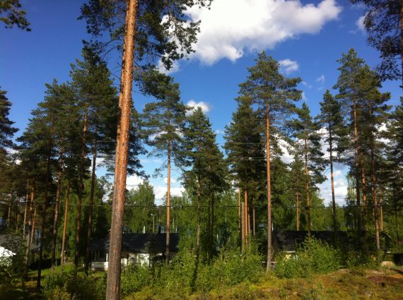 Земля в Миккели, Финляндия, 1 271 м2 - фото 1