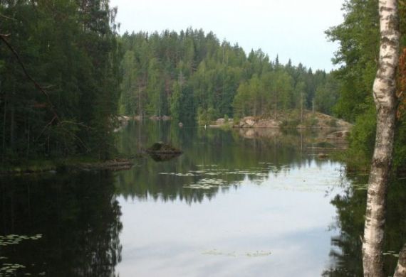 Земля в Иматре, Финляндия, 65.6 сот. - фото 1