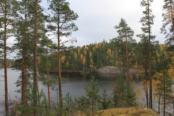 Земля в Руоколахти, Финляндия, 16 550 м2 - фото 1