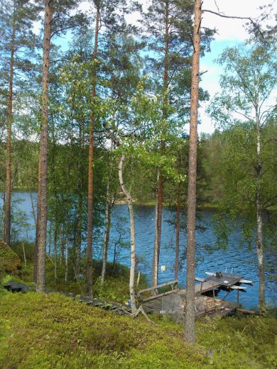 Земля в Мянтюхарью, Финляндия, 4 Га - фото 1