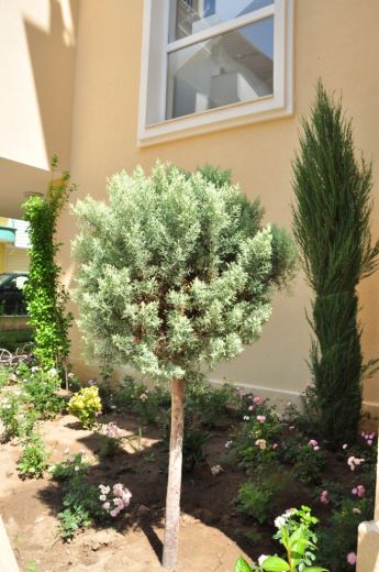 Квартира в Равде, Болгария, 60 м² - фото 15