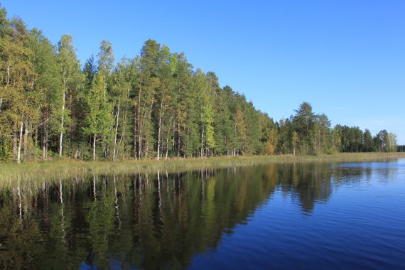 Земля в Савонлинне, Финляндия, 4 930 м2 - фото 1