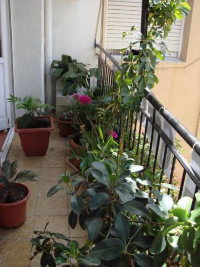 Квартира в Аликанте, Испания, 80 м² - фото 10