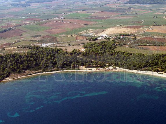 Земля на Халкидиках, Греция, 3 200 м2 - фото 1