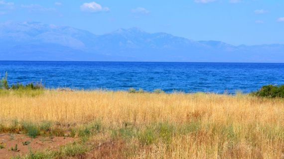 Земля на Пелопоннесе, Греция, 250 м2 - фото 1